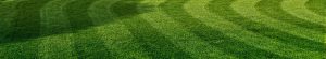 Lawn care Services - Long Hill Tree & Lawn Care Service